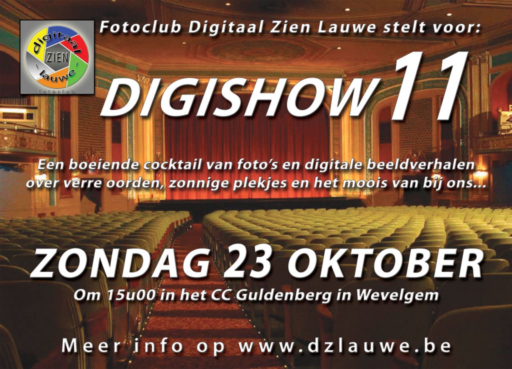 dzl_digishow-11_flyer_recto_rgb_a6