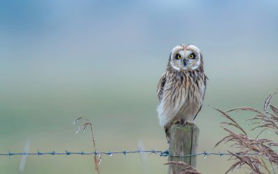 Fototentoonstelling: de mooiste foto’s