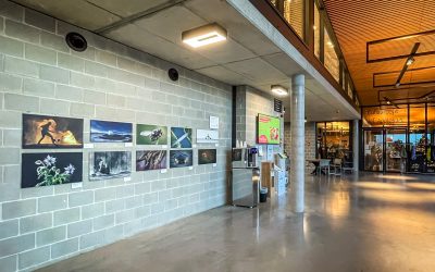 Digitaal Zien stelt tentoon: de 10 mooiste foto’s van 2024